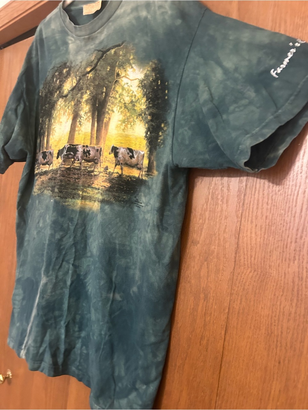 Vintage Scenic Cow Print Tie-Dye Tee - Green with Yellow Accent - Picture 3 of 6